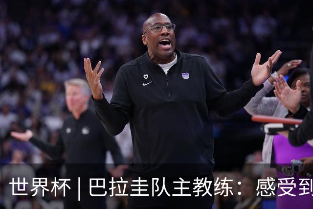 世界杯 | 巴拉圭队主教练：感受到比赛的极致压力