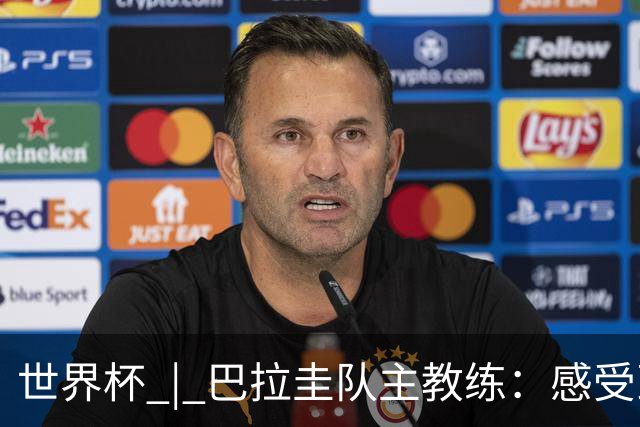 世界杯 | 巴拉圭队主教练：感受到比赛的极致压力