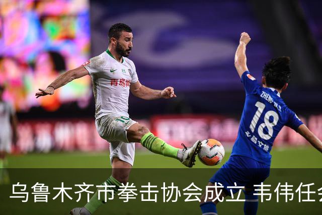 乌鲁木齐市拳击协会成立 韦伟任会长