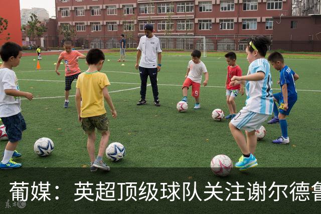 葡媒：英超顶级球队关注谢尔德鲁普，本菲卡愿听取超4000万欧报价