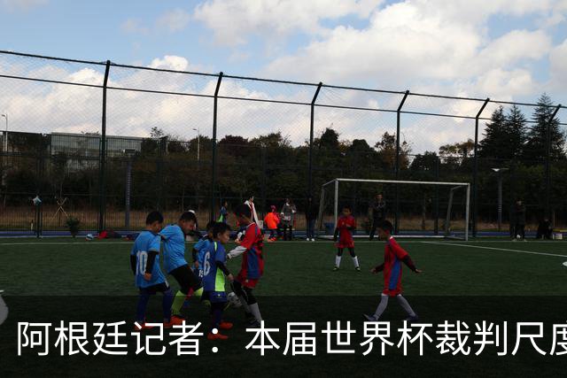 阿根廷记者：本届世界杯裁判尺度存双标问题，恩佐第一张黄牌过于严厉