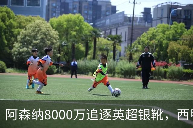 阿森纳8000万追逐英超银靴，西甲魔翼或有转会潜力