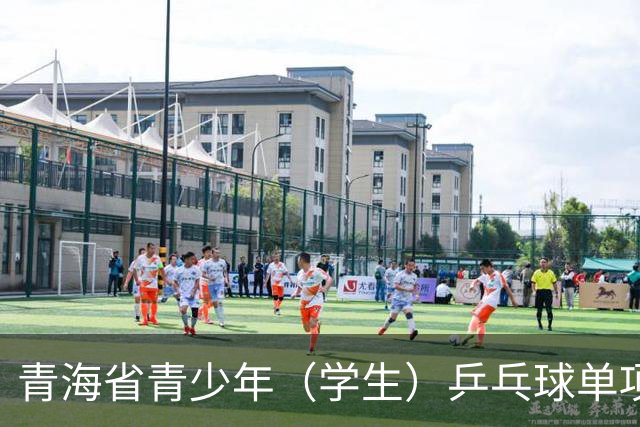 青海省青少年（学生）乒乓球单项赛开赛